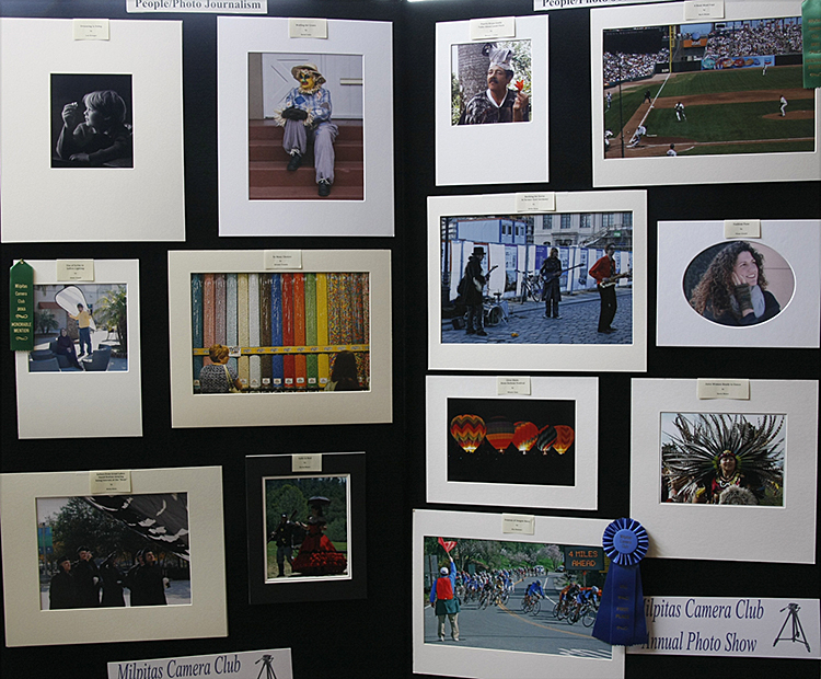 2011 Annual Show - Display Panels