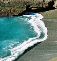 Lobos Sea Lace