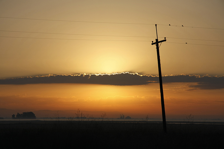 Kaz Hamano: Sunrise over Central Valley Farmland