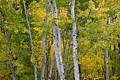 Dave Lemery: Fall Colors