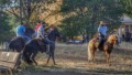 Francisco Rodriguez: Horse Riders